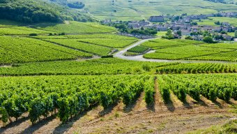 wine tour holiday france