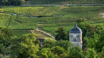 what food is tours france famous for