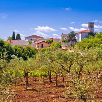 Croatia Istria Wine Roads 4 Nights