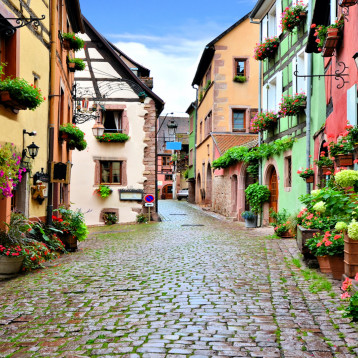 Alsace Hiking