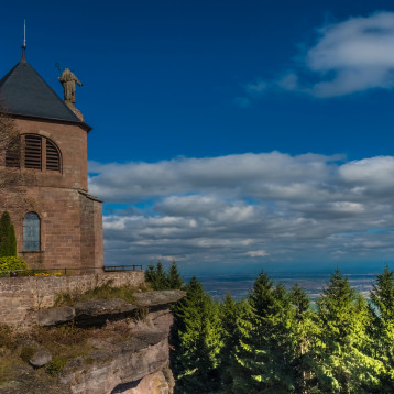 Alsace Wine Route