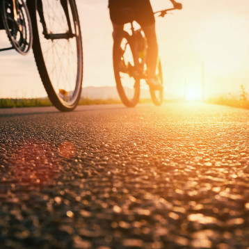 Provence Tour Avignon Cycling Loops