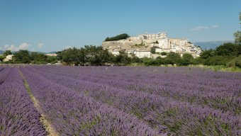 discover provence tours