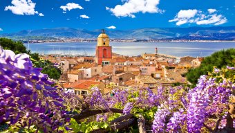 discover provence tours