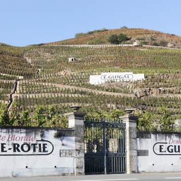 ViaRhona from Vienne to Montelimar