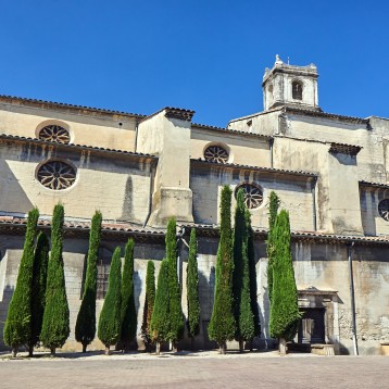 ViaRhona from Vienne to Montelimar