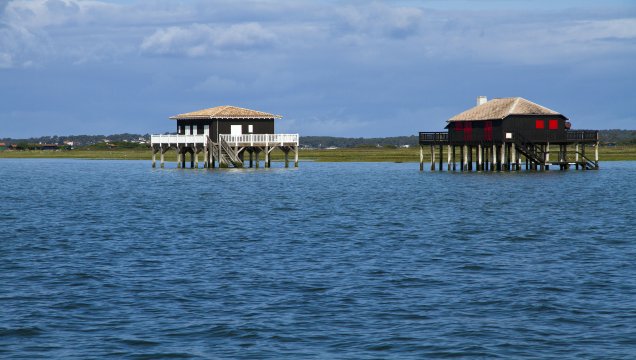 tours from la rochelle to bordeaux