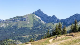 what food is tours france famous for