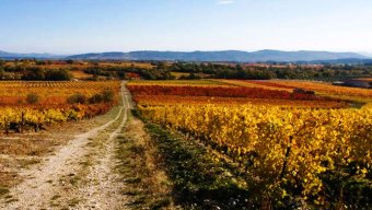 bike tours provence france