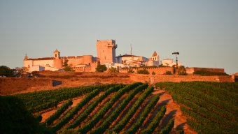 bike tours france wine country