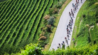 Spectator Day Access Tickets VIP Access - Our Day on Course with Discover France - Tour de France - 2025