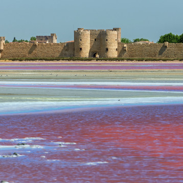 Cycling in Provence & Camargue