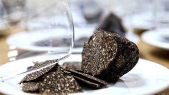 Food and Culinary Tours Truffle Treasures of Provence
