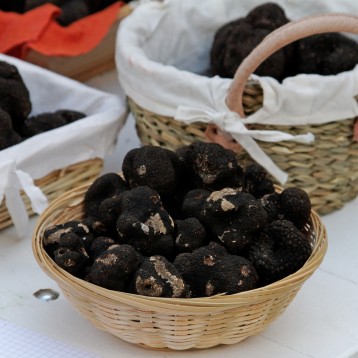 Truffle Treasures of Provence