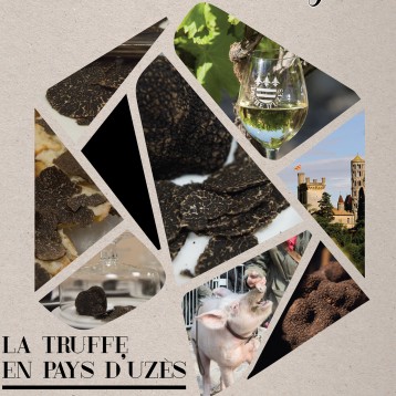 Truffle Treasures of Provence