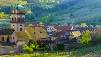 french wine bike tour