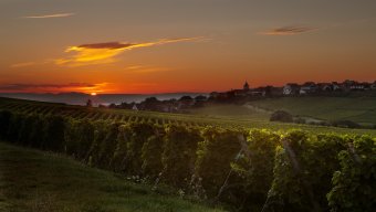 wine tour holiday france