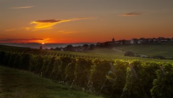 french wine bike tour