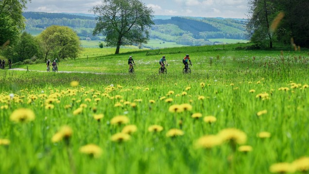 Bib Liège-Bastogne-Liège Challenge - 2026