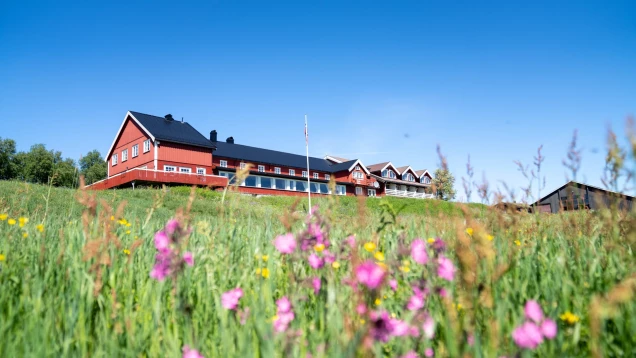 Mjølkevegen - Most Beautiful Cycling Tour in Norway