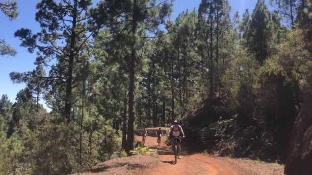 Tenerife - Volcanics Roads & Atlantic views