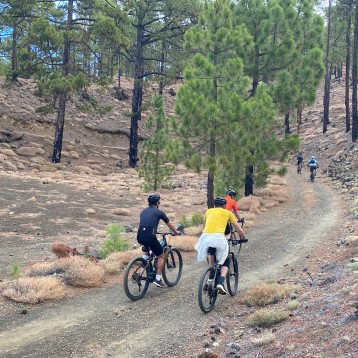 Tenerife - Volcanics Roads & Atlantic views