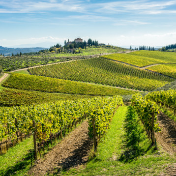 Tuscany Wine Tour