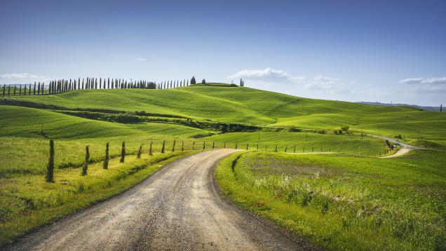Tuscany Wine Tour