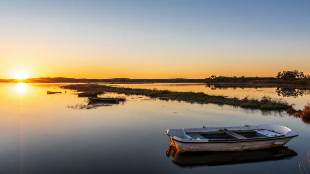 Bordeaux to Arcachon Cycling Tour