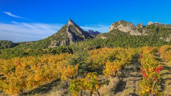 bike tours provence france