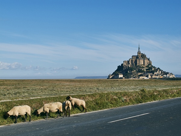 normandy heritage tour for couple
