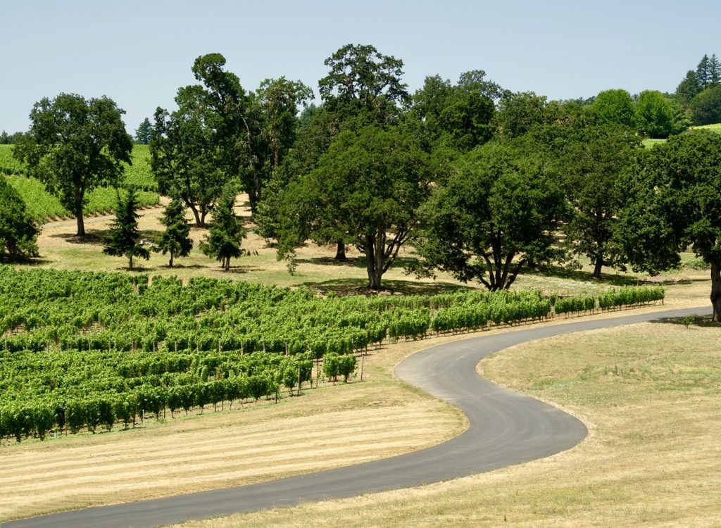 bordeaux bike tour
